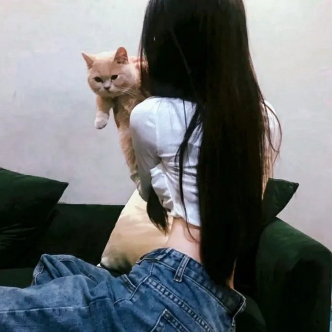 豹